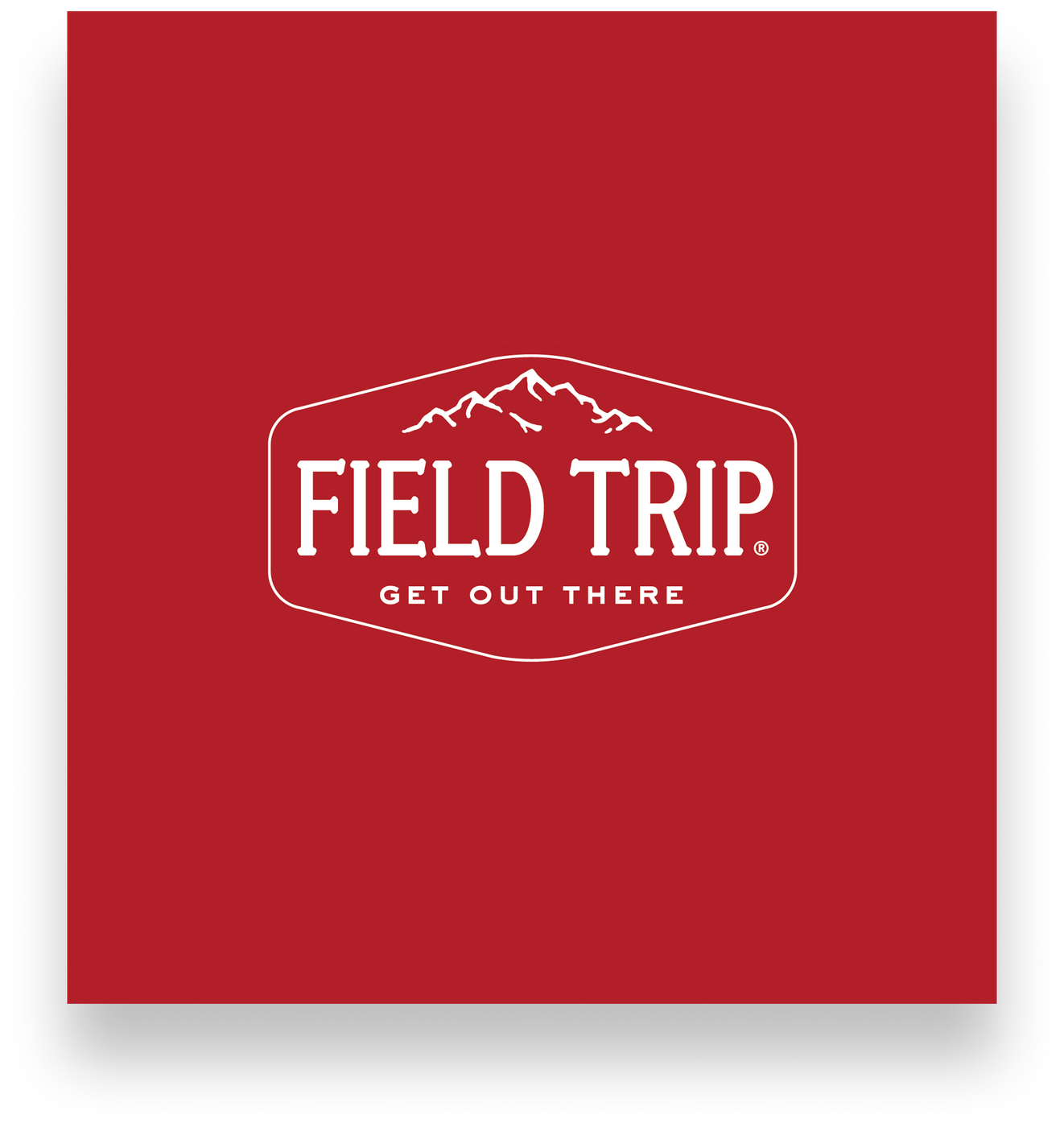 Field Trip Snacks case study