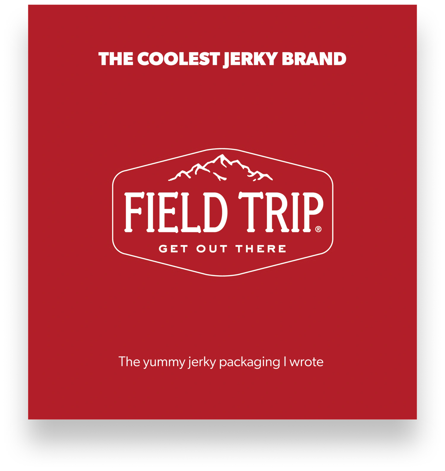 Field Trip Snacks case study